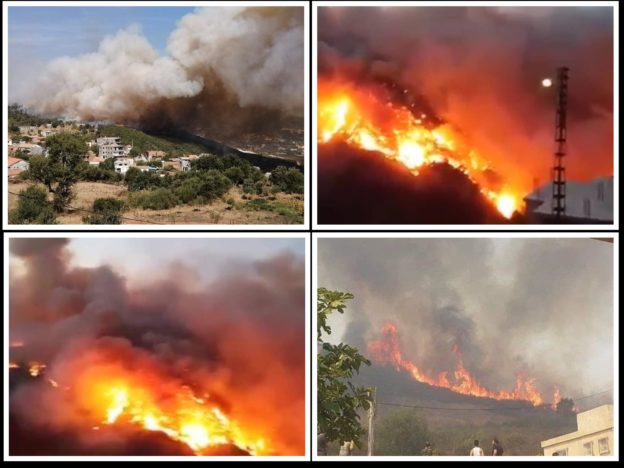 incendies kabylie