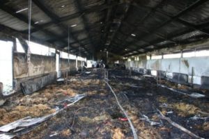1500 volailles péries dans un incendie