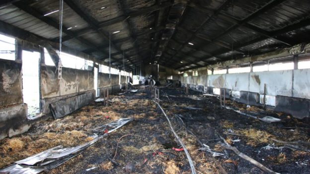 1500 volailles péries dans un incendie